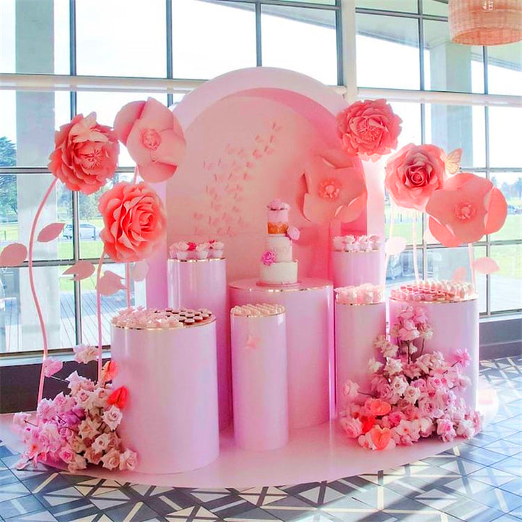 Cylinder Acrylic Pedestals (Pink)
