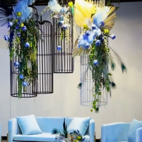 Bird Cage Prop